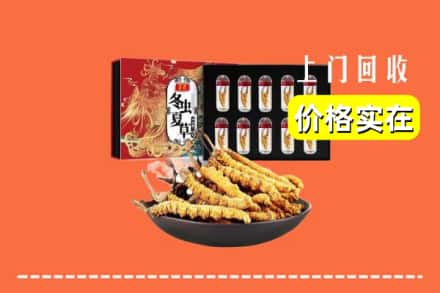 铜陵铜官区回收冬虫夏草